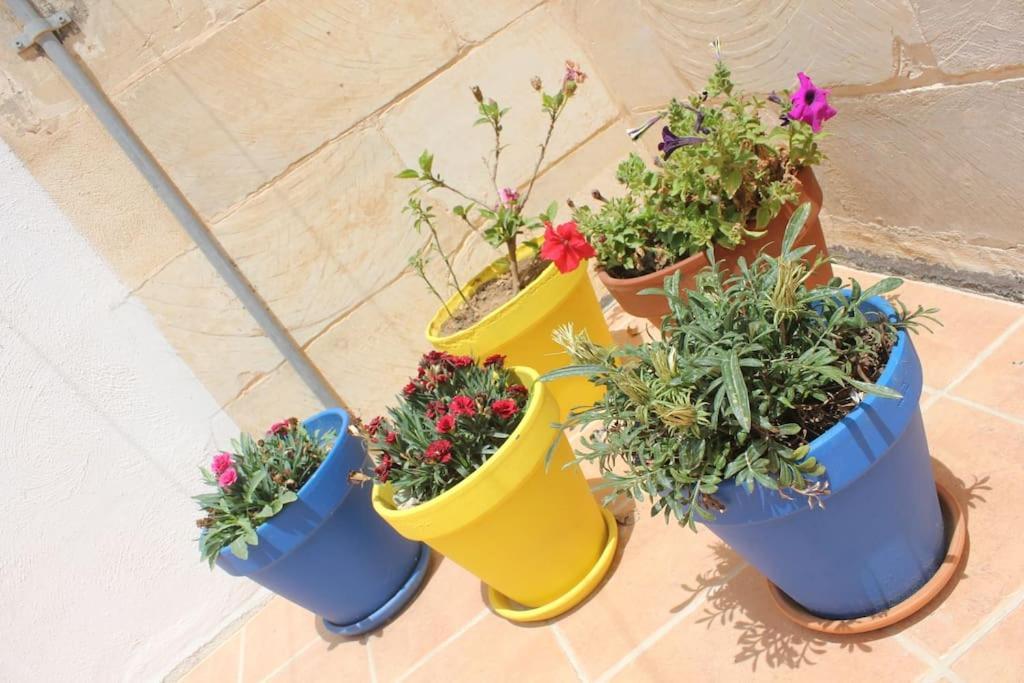 That Little Zurrieq Luaran gambar